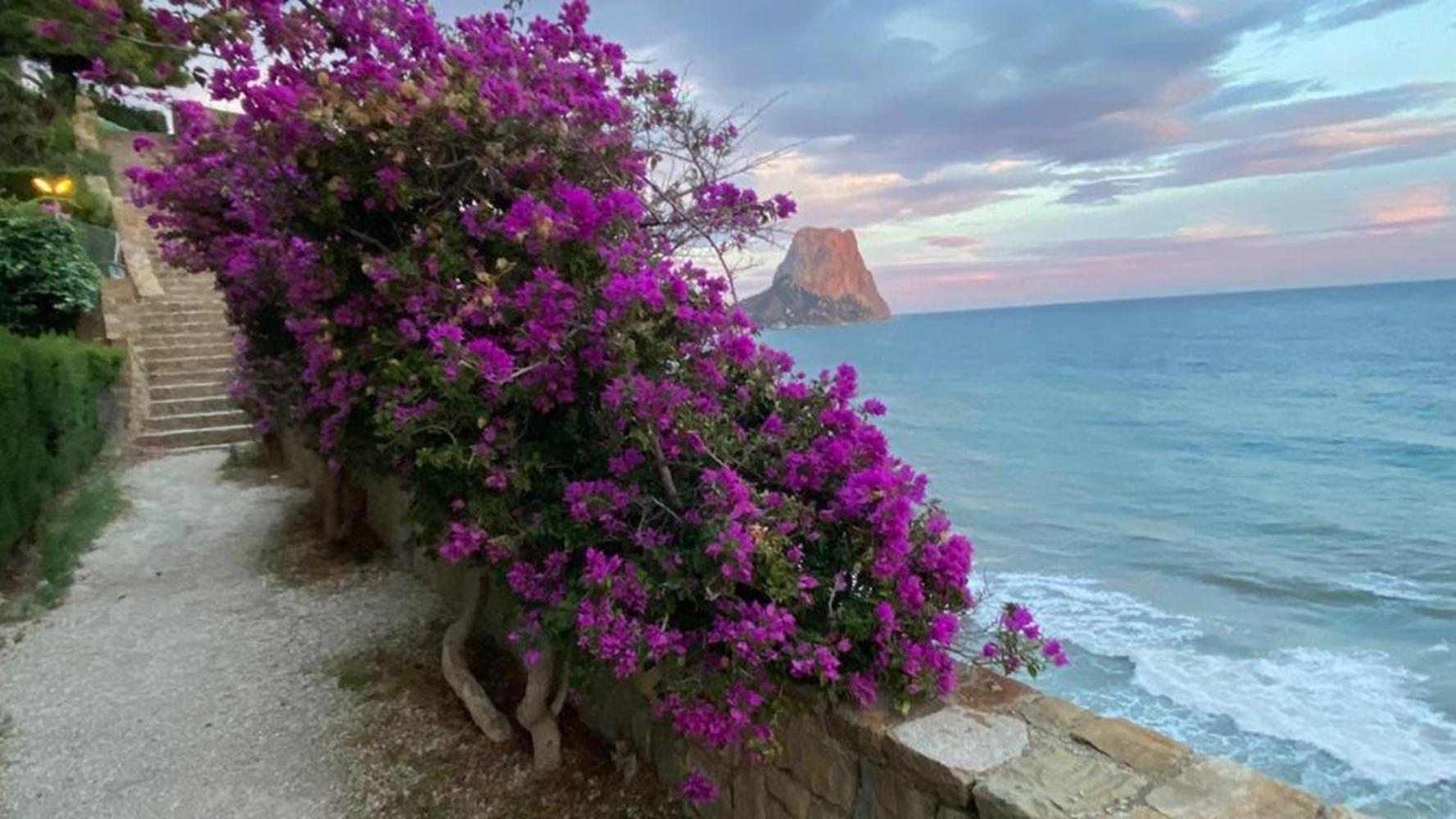 Timora Sea View New Apart' Hipocampos Calpe Exterior foto